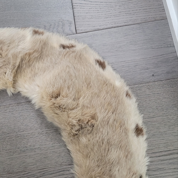 Furr collar - Picture 2 of 6